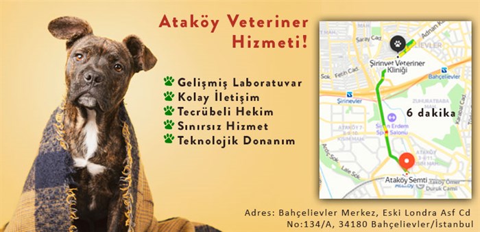 atakoy veteriner hizmeti sirinvet klinigi