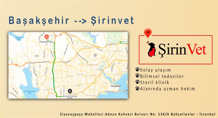 Başakşehir Veteriner