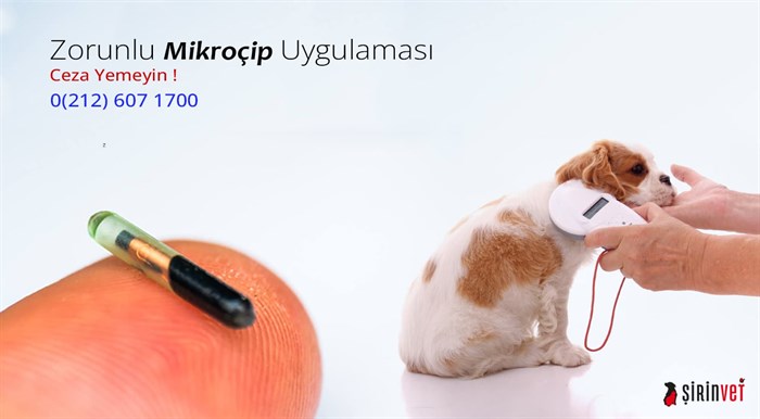 Pet Mikroçip