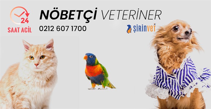 Nöbetçi Veteriner
