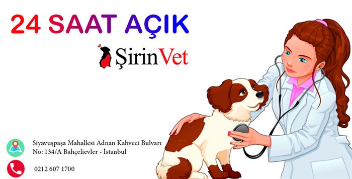 24 saat açık veteriner